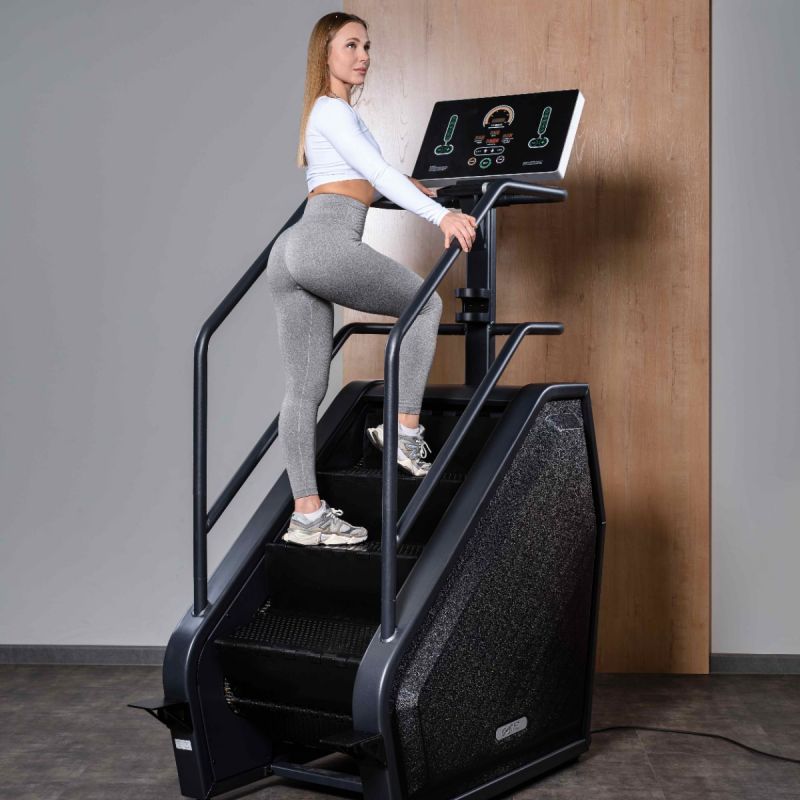 Тренажер-лестница DHZ A4001P