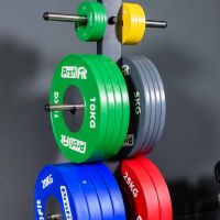 Диск профессиональный обрезиненный (цветной) D51 мм PROFI-FIT 10 кг