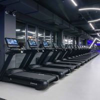 Профессиональная беговая дорожка SHUA SH-T8919T22 (21,5