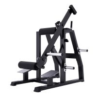 A613 Обратная гиперэкстензия