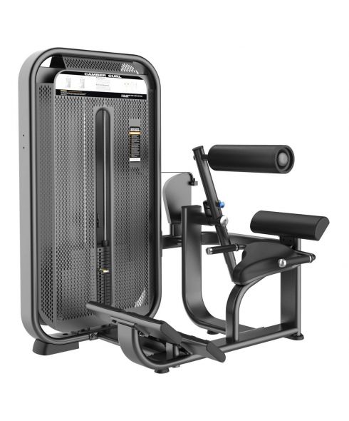 E7031 Разгибание спины